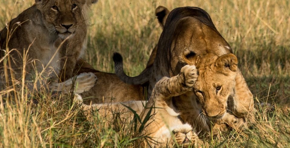 Extravagant Kenya Holiday Packages