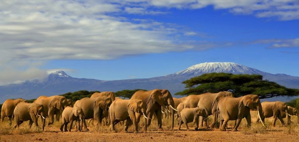 Best Of Kenya Tour Packages
