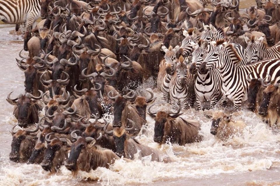 Kenya (National Geographic Journey)