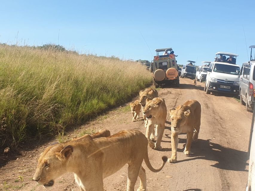 Kenya Safari Packages From India