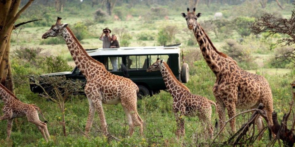 Mesmerizing Kenya Tour Packages From India
