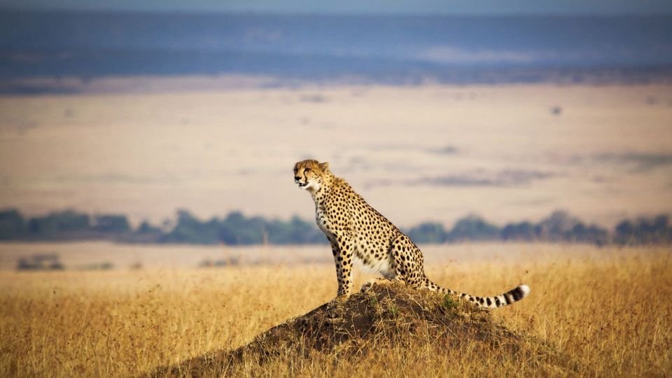 Kenya Holiday Packages 2024