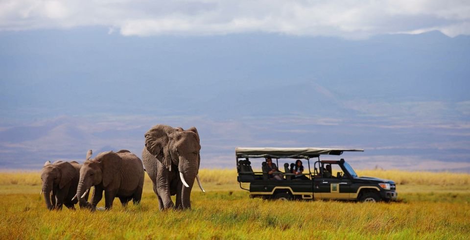Kenya Honeymoon Package