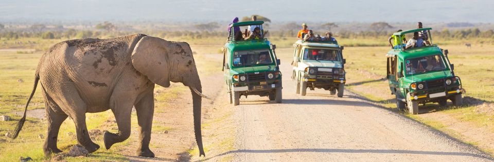 Serengeti & Zanzibar