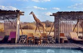 11-Day Budget Best of Tanzania & Zanzibar Safari