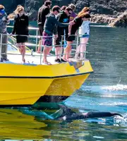 An Outstanding New Zealand Honeymoon Tour