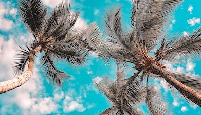 Maldives Package From India For Couple