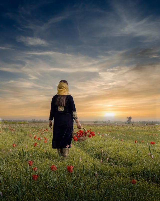 Jammu Kashmir Family Package