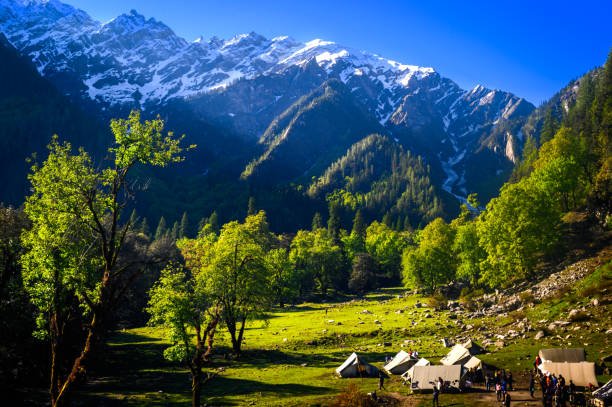 Best 7 Nights 8 Days Himachal Honeymoon