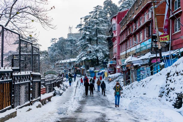 Customizable Shimla Tour Package