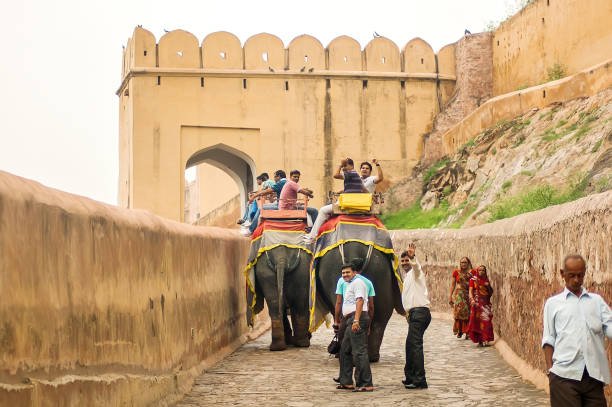 Explore The Royal Rajasthan with Safari