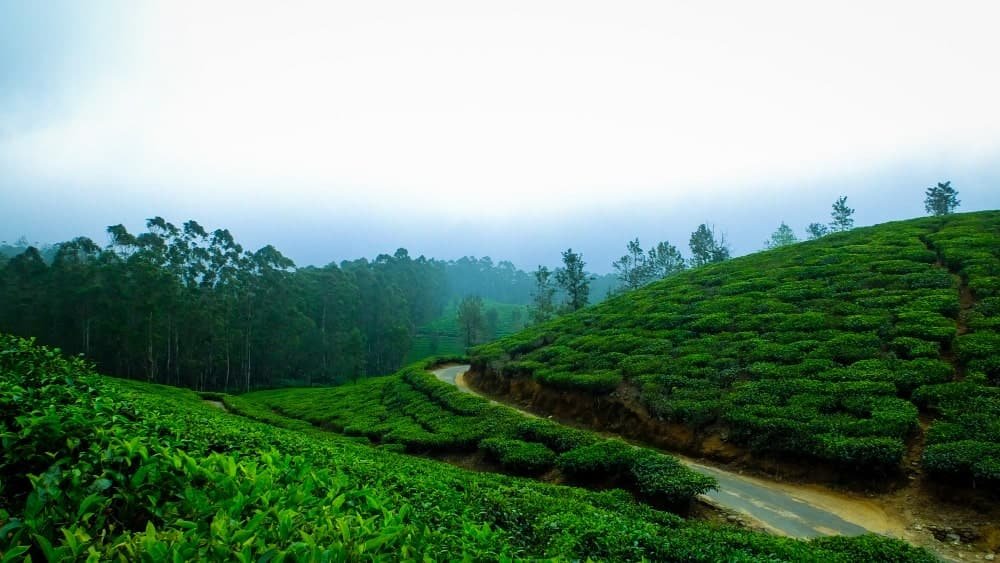 Scenic Kerala Family Trip
