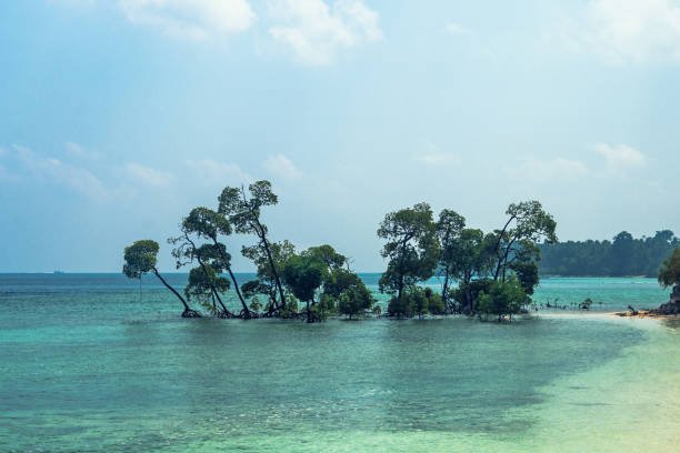 A Spectacular Andaman Tour Package