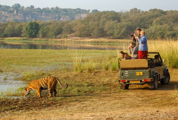 Ranthambore National Park for Couple