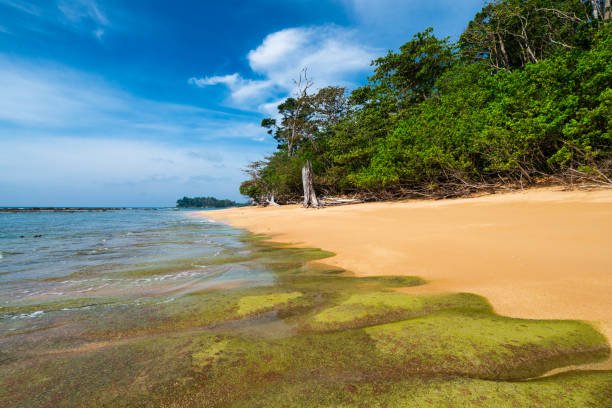 Romantic Andaman Honeymoon Couple Packages  