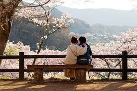 Mount Fuji Romance Trail