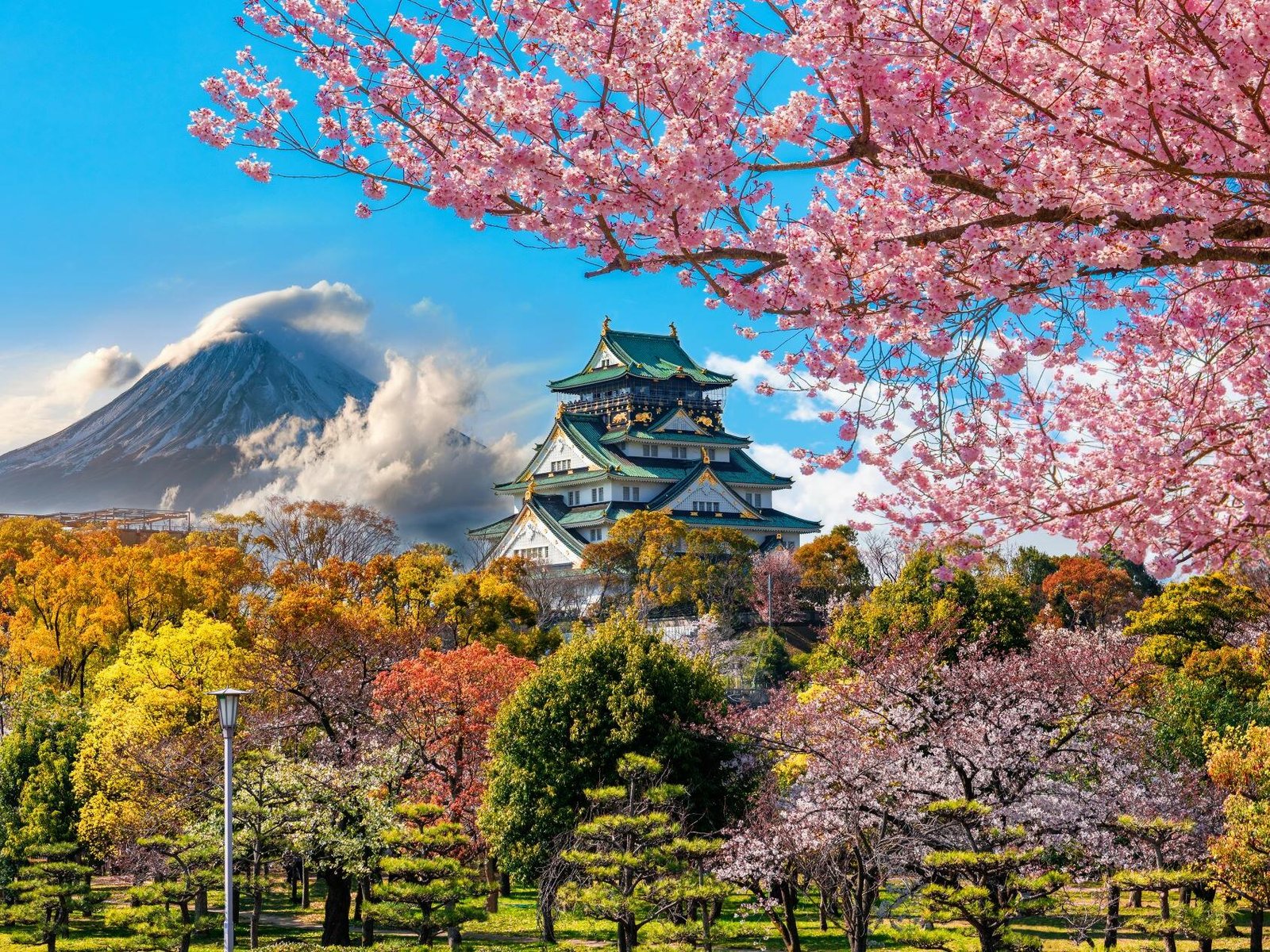 Japan for Indians: A Day-by-Day Itinerary Covering Tokyo, Kyoto, Osaka & Mount Fuji