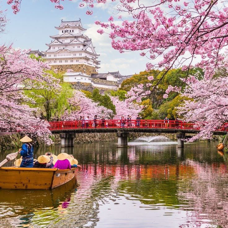 Things to Know Before Travelling to Japan for the First Time